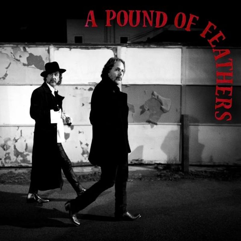 A Pound Of Feathers (LP)