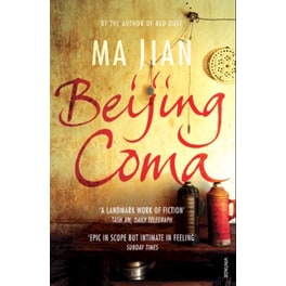 Beijing Coma