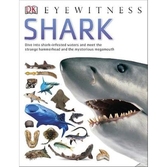 Shark image 0