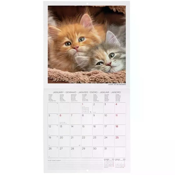 Ημερολόγιο Τοίχου Legami 2026 Kittens 18x18cm image 2
