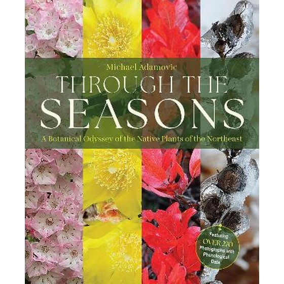 Through the Seasons image 0