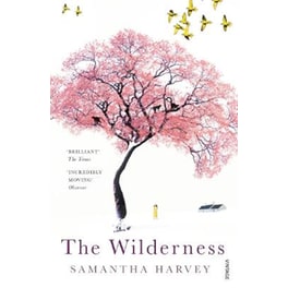 Wilderness