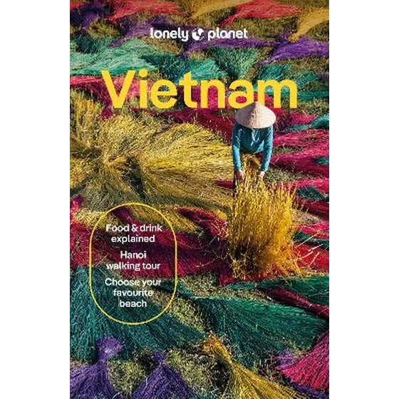 Lonely Planet Vietnam image 0