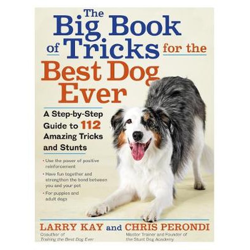 Big Book of Tricks for the Best Dog Ever
