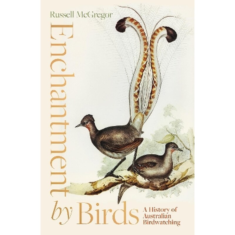 Enchantment by Birds