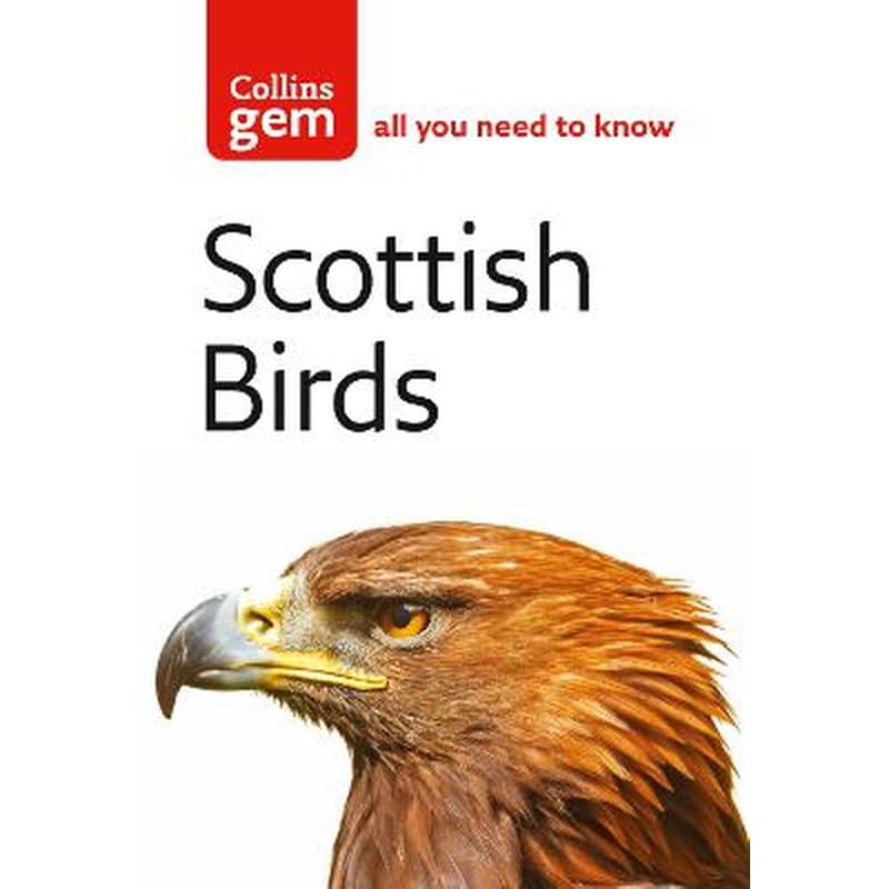 Scottish Birds φωτογραφία