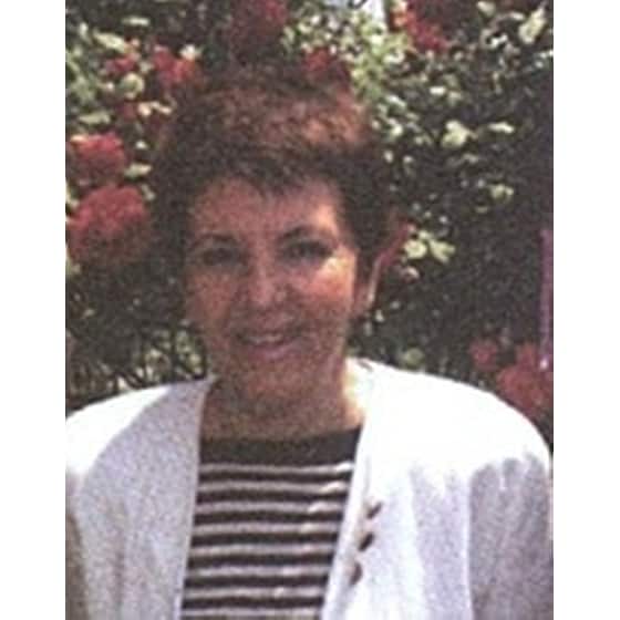 Ο Άη Βασίλης και οι καμπανούλες image 1