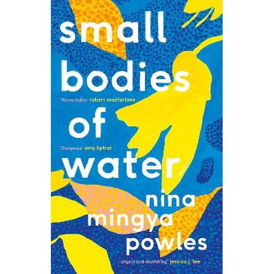Small Bodies of Water image 0