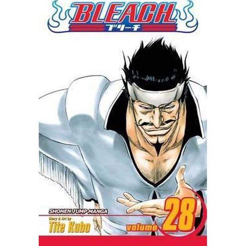 Bleach, Vol. 28