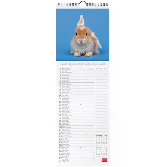 Ημερολόγιο Τοίχου Legami 2025 Honey Bunny 16x49 cm image 1