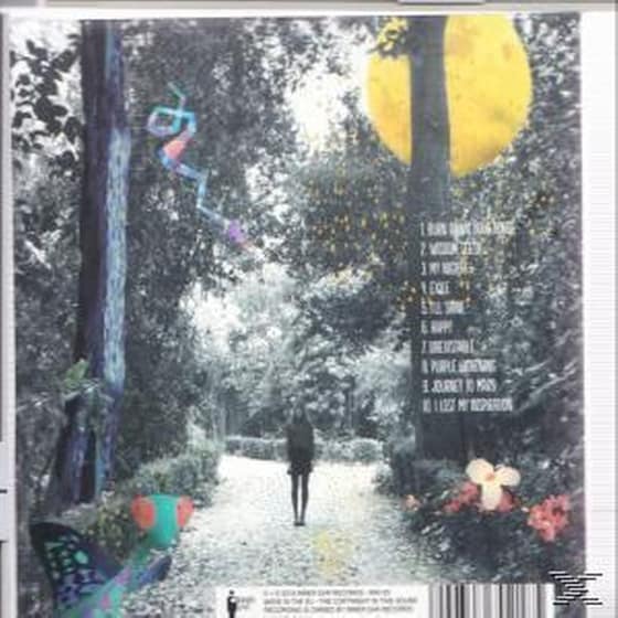 Daphne And The Fuzz image 3