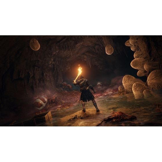 Elden Ring Launch Edition - PC image 2
