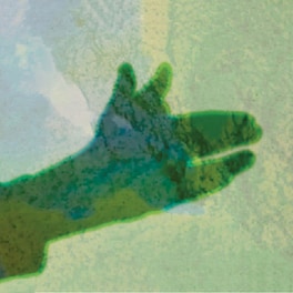 Camo (LP)