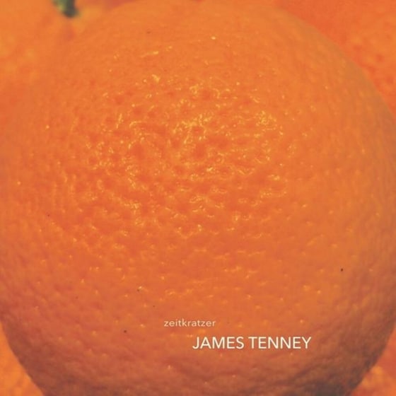 JAMES TENNEY (LP) image 1