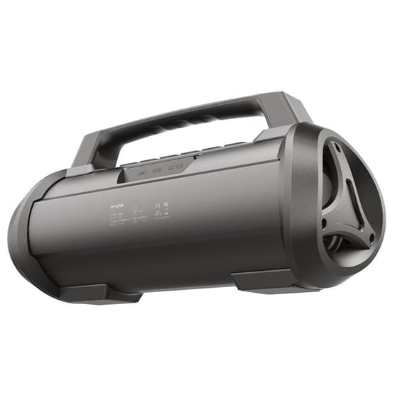 Aiwa MIX300/BK Φορητό Ηχείο 60W - Μαύρο image 2