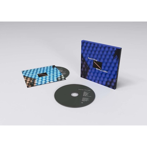 White Ladder image 3