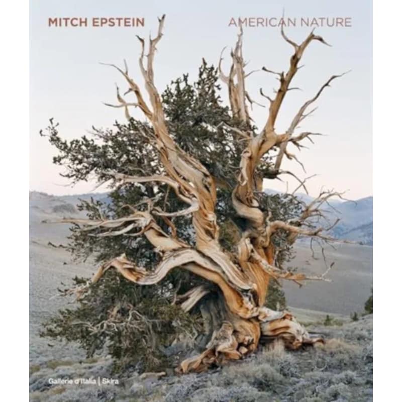 Mitch Epstein