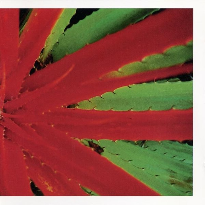 This Afternoons Malady (2 LP)