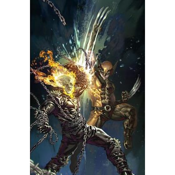 Ghost Rider Vol. 2: Shadow Country image 0