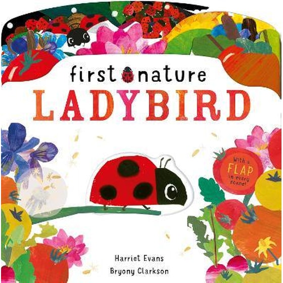 Ladybird image 0