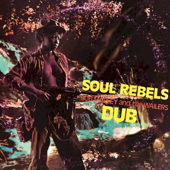 Soul Rebels Dub (LP) image 0