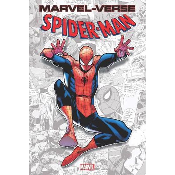 Marvel-Verse: Spider-Man image 0