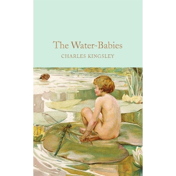 The Water-Babies image 0