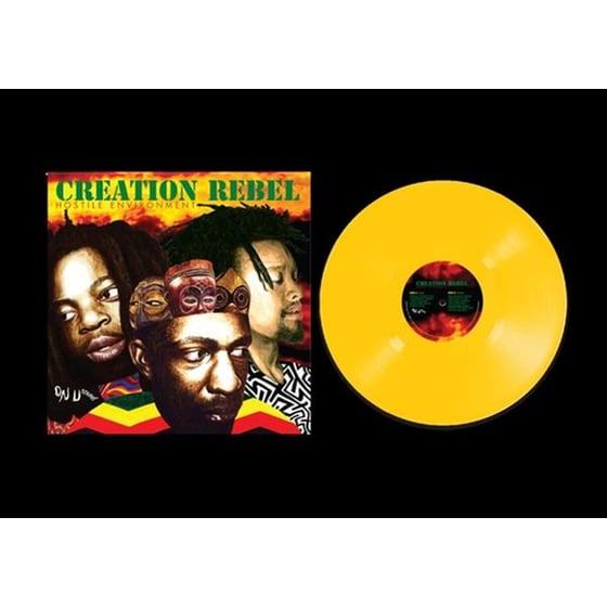 Hostile Environment (Limited Yellow Lp+Dl+Poster) image 0