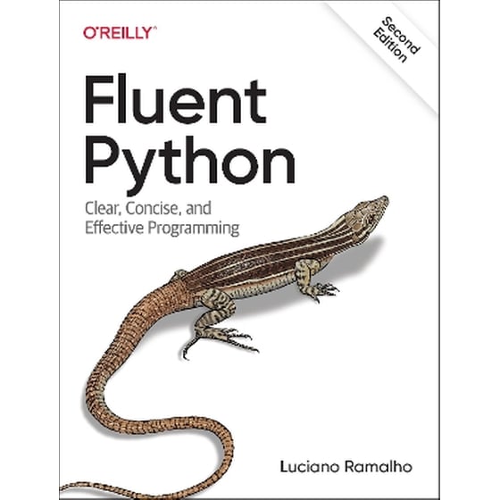 Fluent Python image 0