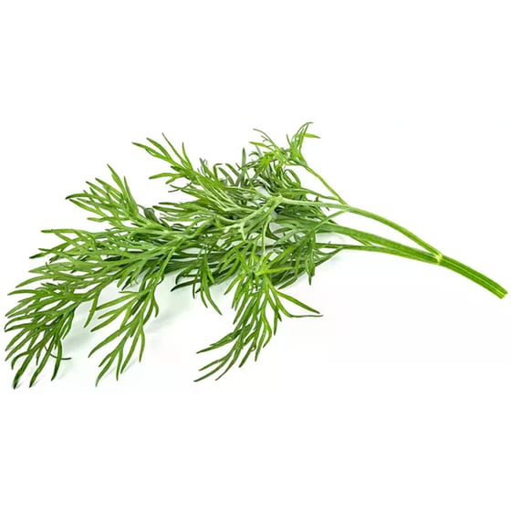Κάψουλες Click and Grow 3 Τμχ - Άνηθος image 1