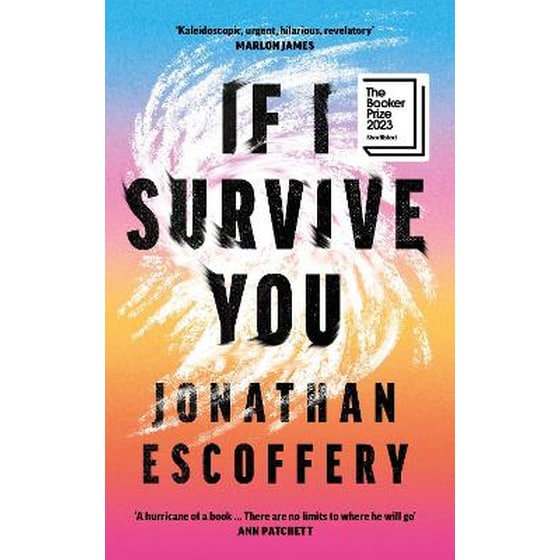 If I Survive You image 0