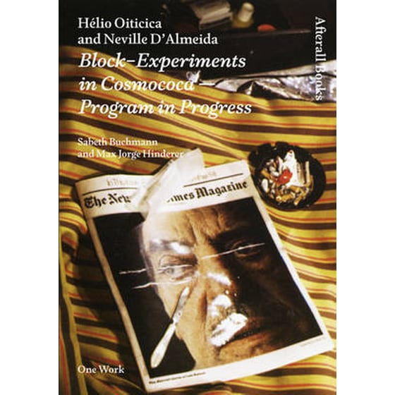 Helio Oiticica and Neville D'Almeida image 0