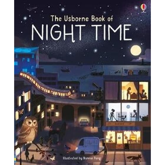 Usborne Book of Night Time image 0