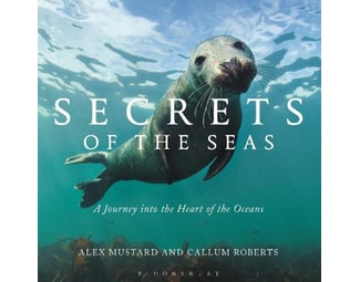 Secrets of the Seas image 0