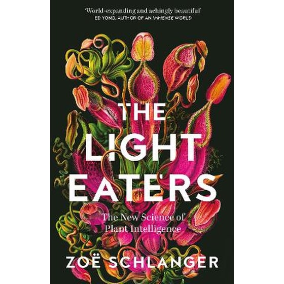 The Light Eaters image 0
