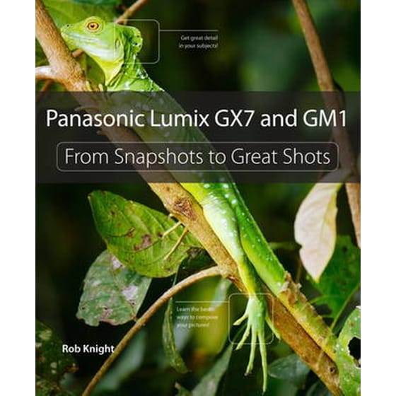 Panasonic Lumix GX7 and GM1 image 0
