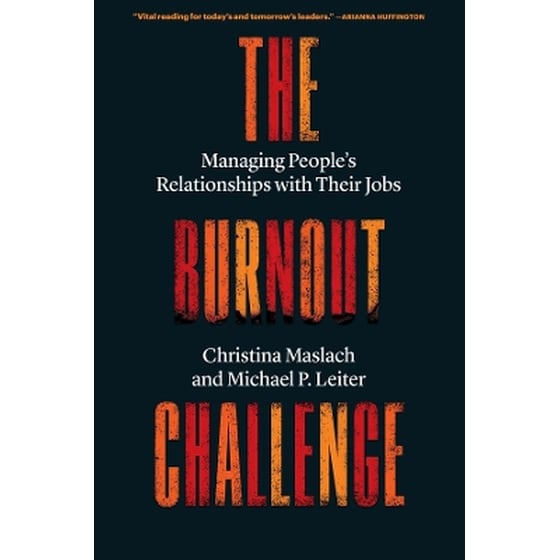 The Burnout Challenge image 0