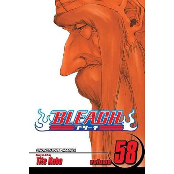 Bleach, Vol. 58 58 image 0