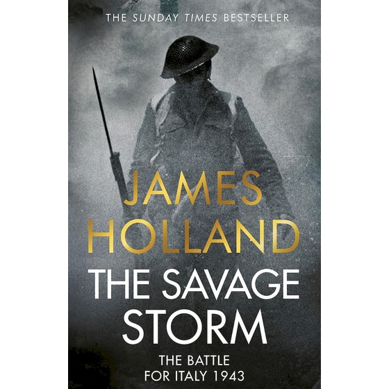 The Savage Storm image 0