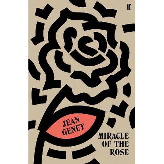 Miracle of the Rose image 0