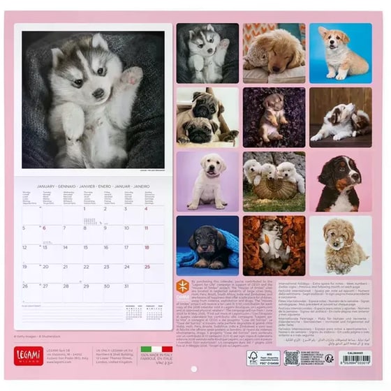 Ημερολόγιο Τοίχου Legami 2026 Puppies 30x29cm image 1