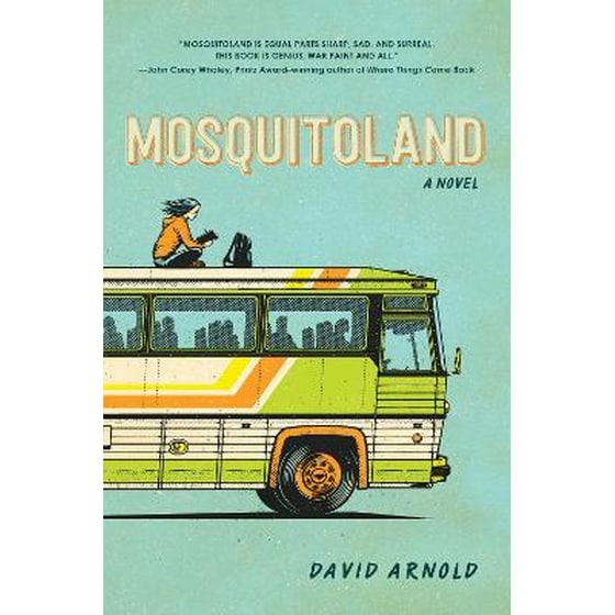 Mosquitoland image 0