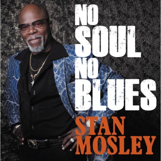 No Soul, No Blues image 0