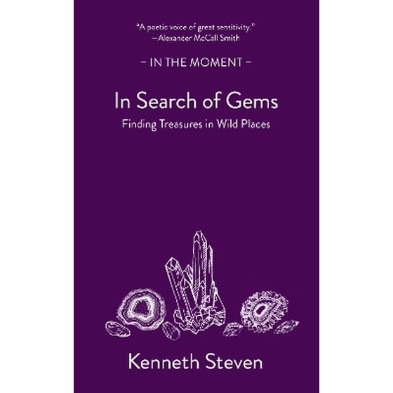 In Search of Gems image 0