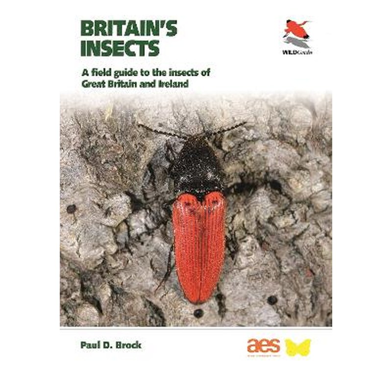 Britains Insects