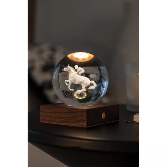Διακοσμητικό&nbsp;Gingko Crystal&nbsp;Light&nbsp;3D&nbsp;Horse&nbsp;Race image 3