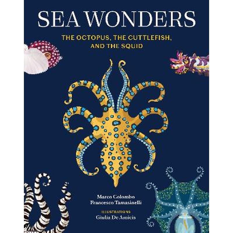 Sea Wonders