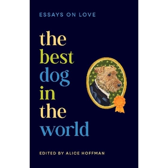 The Best Dog in the World image 0