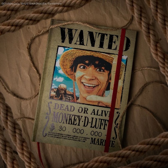 Σημειωματάριο Cinereplicas A5 One Piece Wanted Posters Hardcover image 2