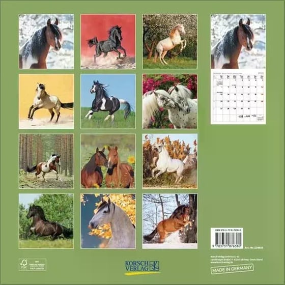 Ημερολόγιο Τοίχου 2025 Horses image 13